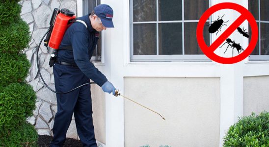 Sason Hamam Böceği İlaçlama böcek ilaçlama ve haşere kontrolü — ilaclama-tr.com